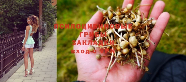 гидропоника Абдулино